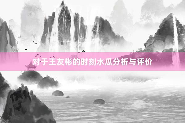 对于王友彬的时刻水瓜分析与评价